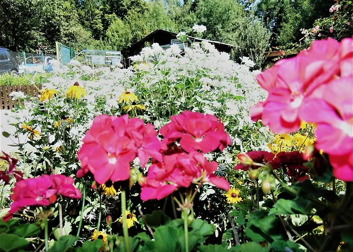 Gorski Kat 3* 키텐