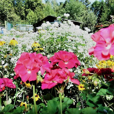 Gorski Kat 3* Kiten (Burgas)